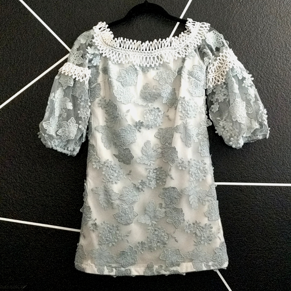 Few Moda NY Embroidered Tea Dress
